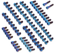 Talaria XXX (Triple X) Titanium Bolt Kit